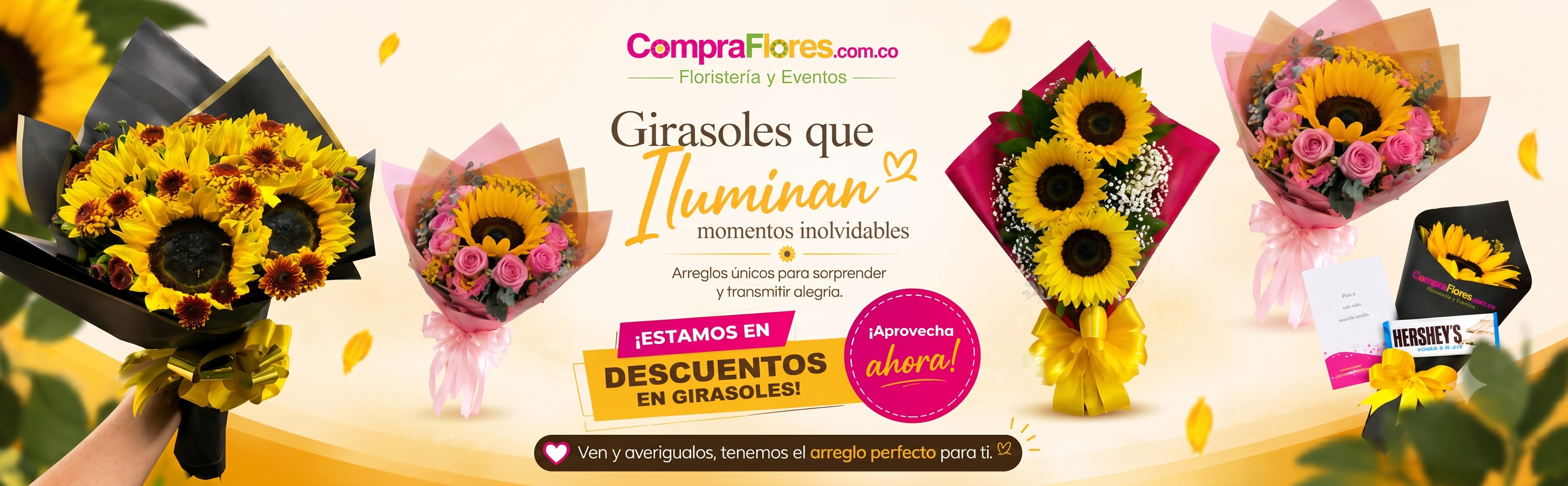 Descuento Girasoles
