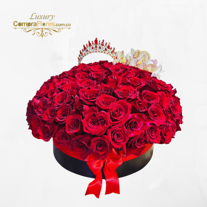 Cilindro de Rosas Premium