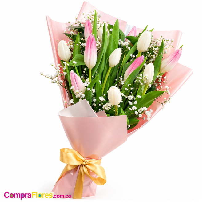 Ramillete de 10 Tulipanes Blancos y Rosados - Cali