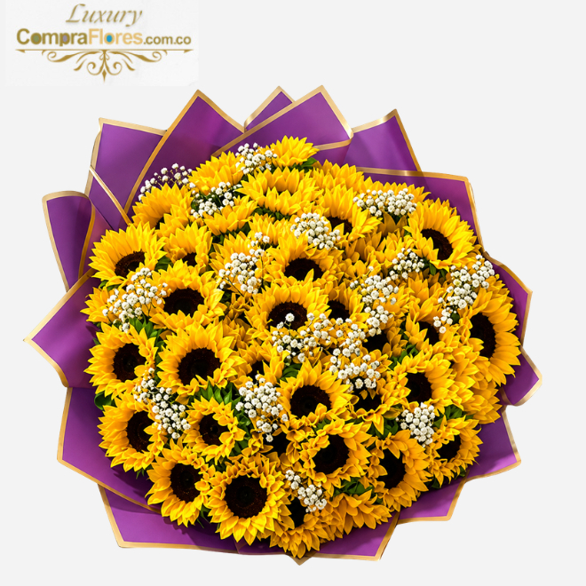 Bouquet Majestuoso: 50 Girasoles Premium de Tallo Largo