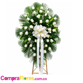 funebre blanco