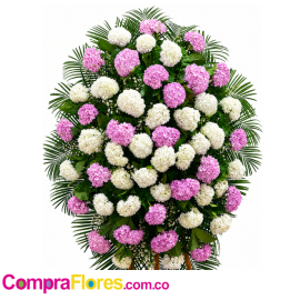 funebre en hortensias en cali