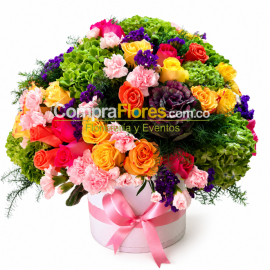 Cancion de Flores Cali