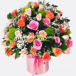 Rosas de Colores floristeria