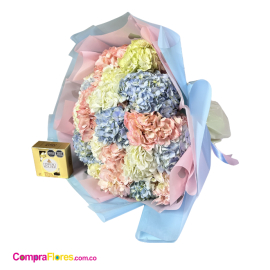 Maxi Ramo de 20 Hortensias Multicolores y Chocolates Ferrero - Cali