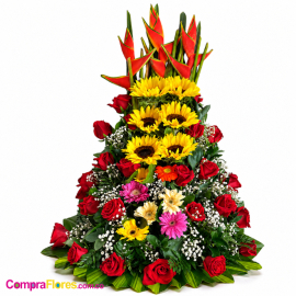 Gran Base Premium con 24 Rosas Rojas y Girasoles