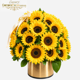 Cilindro de Gala: Cúpula de 36 Girasoles Premium