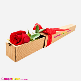 Rosa Individual de Exportación en Caja de Regalo y Tela