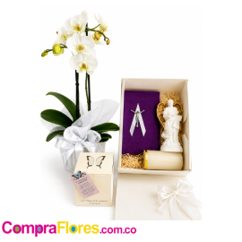 Bono de condolencias con Orquidea.